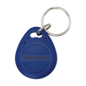RFID-Key-Fobs-125KHz-Blue