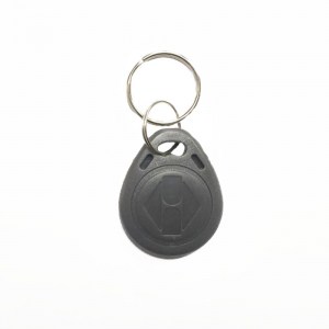RFID-Key-Fobs-125KHz-Gray